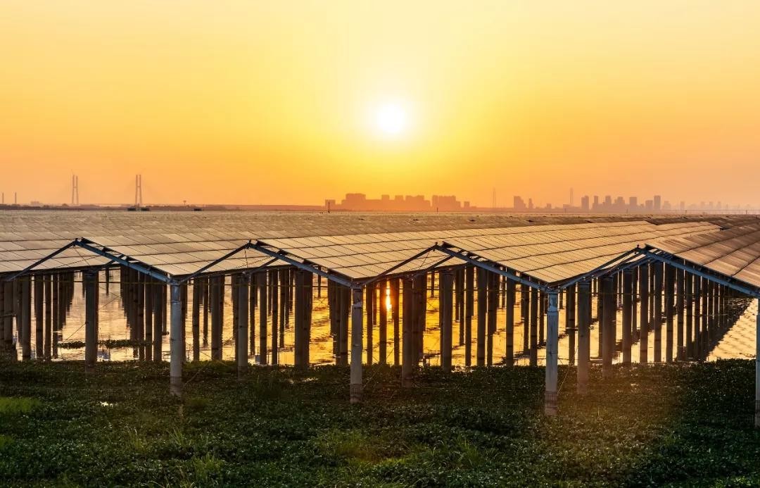 Beyond Success - www.EVO.com Achieved a Preferred Scale of 1120 MW in Jiangxi